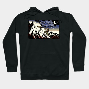 Meteor Watching Hiker Mountain Climbing Stargazing Cat Hoodie